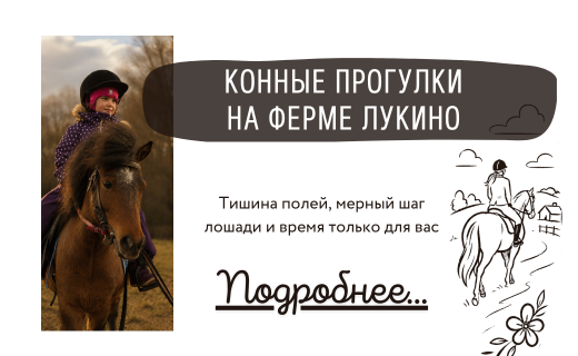 Баннер конных прогулок на ферме Лукино
